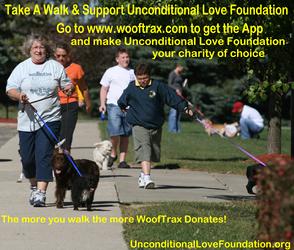 walk wooftrax raise money donate help animals