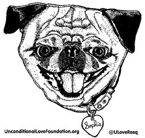 Unconditional Love Foundation sophie adopt rescue environment marine conservation homeless poverty